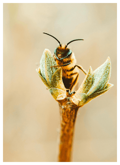 Einblick ins Ibiza Gran Hotel