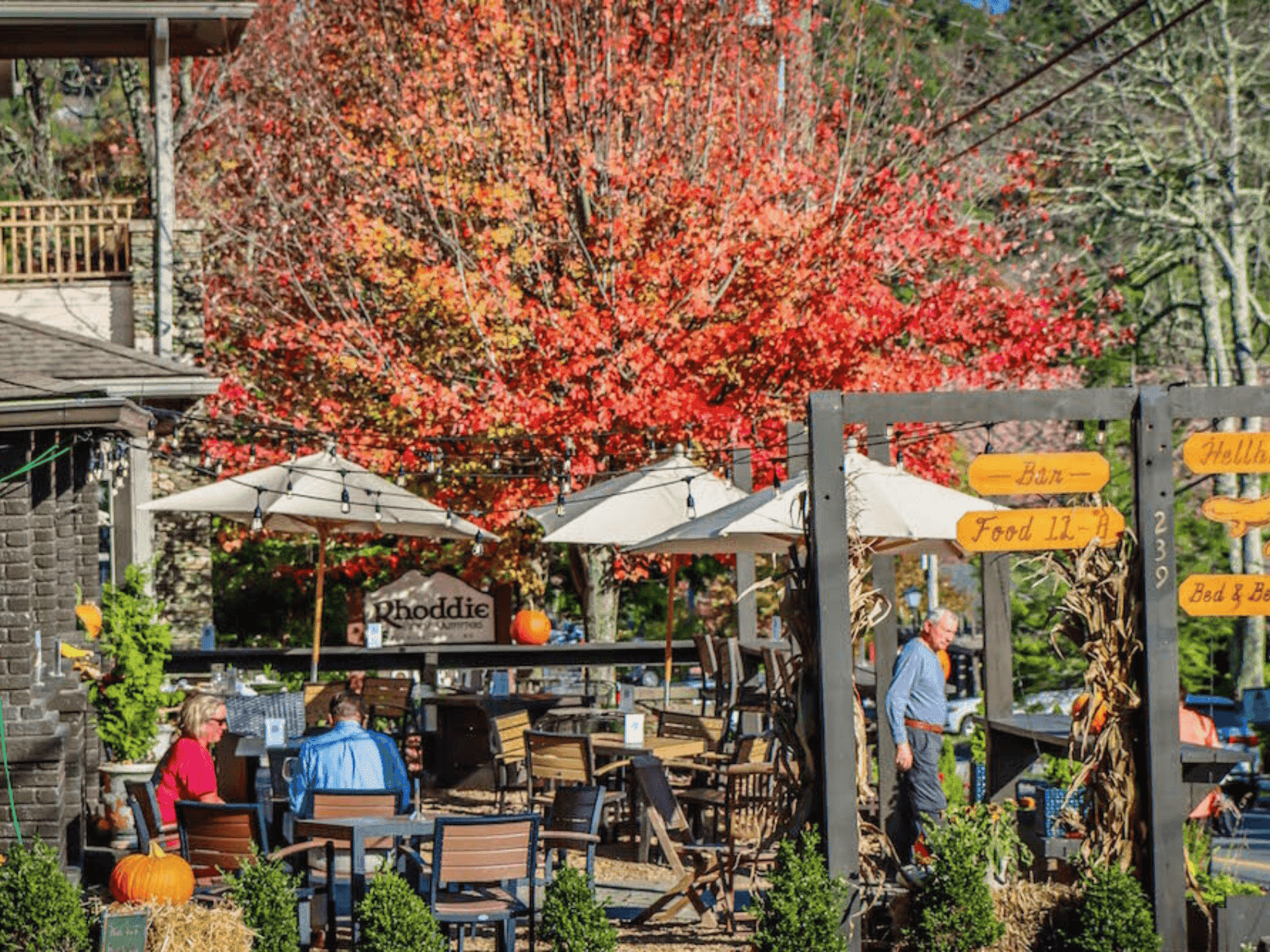 People sit at tables under umbrellas at a restaurant patio with autumn decor and a red tree.