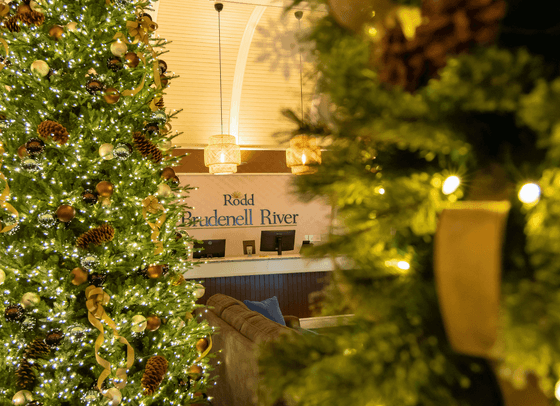 Illuminated Christmas tree beside a reception desk sign reading Rodd Brudenell River at Rodd Hotels & Resorts