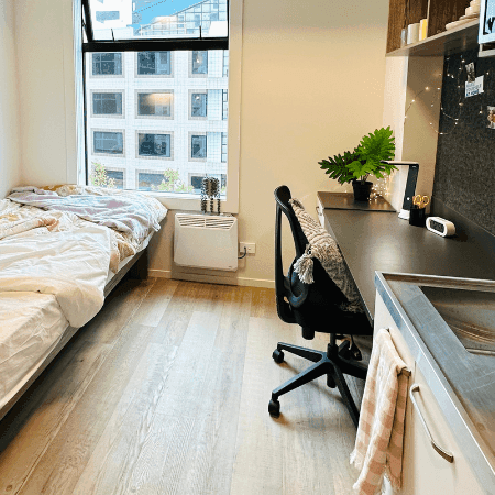 Mayoral Drive Student Accommodation