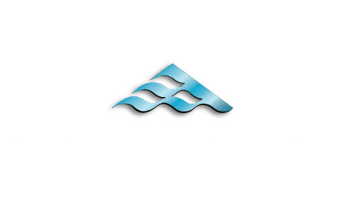 Details 47 el conquistador logo