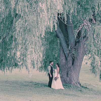 Bride holding a bouquet and groom standing under a large weeping willow tree on the lawn at La Tourelle Hotel and Spa