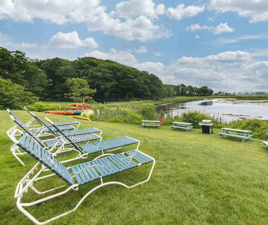 A grassy area with beach chairs, picnic tables, and a grill overlooking a body of water.
