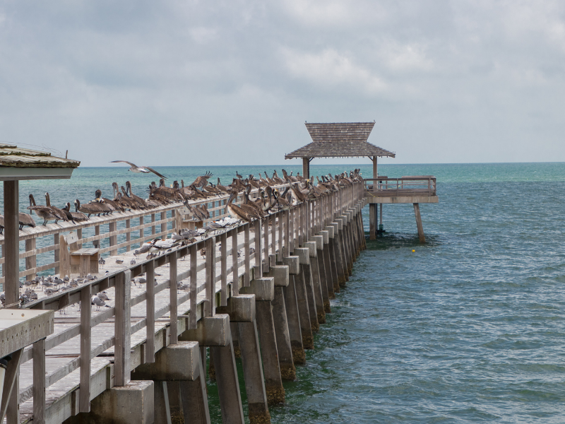 Visit the Naples Pier near the Cove Inn Hotel in Naples Bay, Florida.