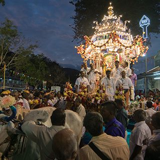 There will be a colourful chariot pulled by cow during thaipusam