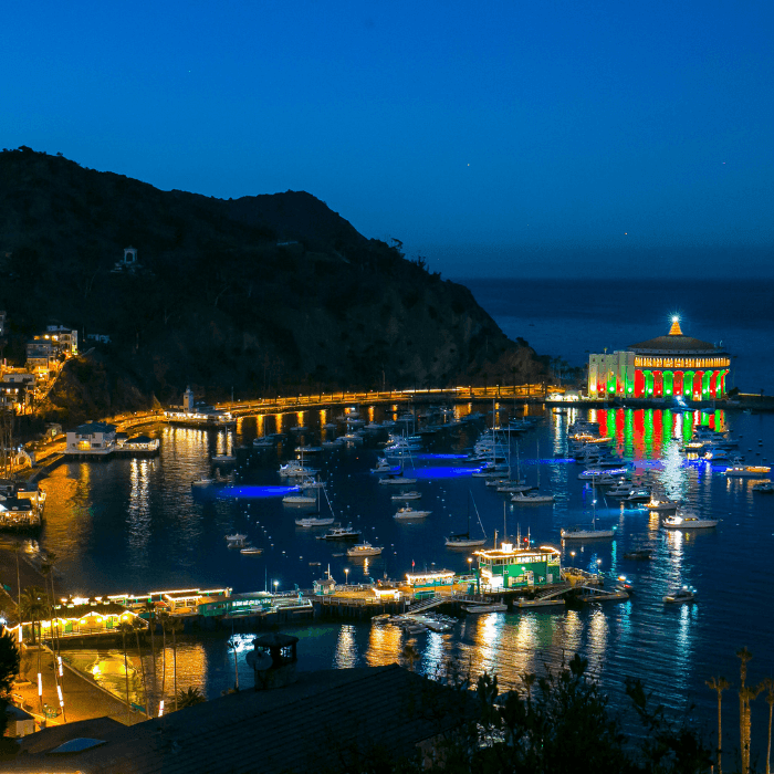 Boats in the harbor with the Catalina Casino lit up in the background