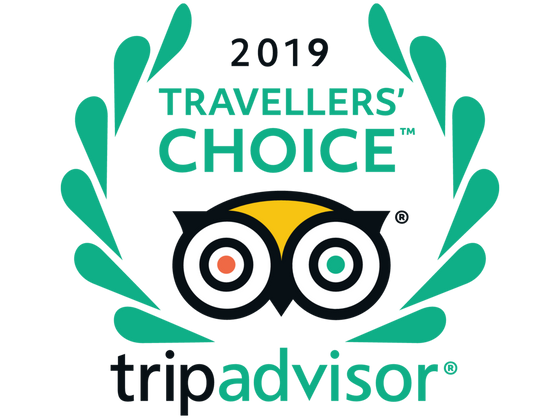 Logo of the 2019 Travellers Choice Tripadvisor