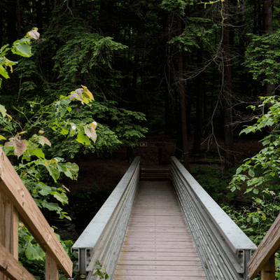 Wooden footbridge extending toward dense green forest near a natural hiking trail at La Tourelle Hotel and Spa
