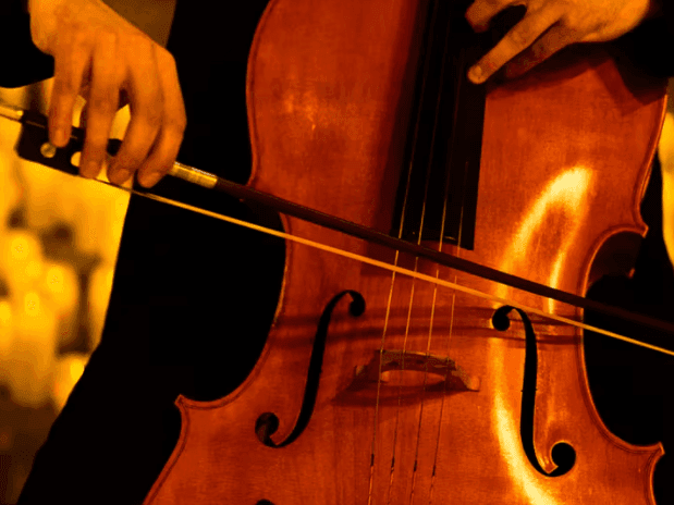 Candlelit Large Violin