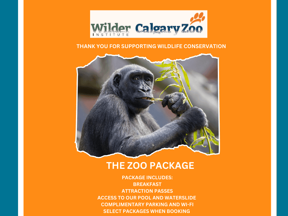 The Zoo Package