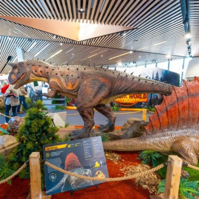 an eight-metre long T-Rex setup