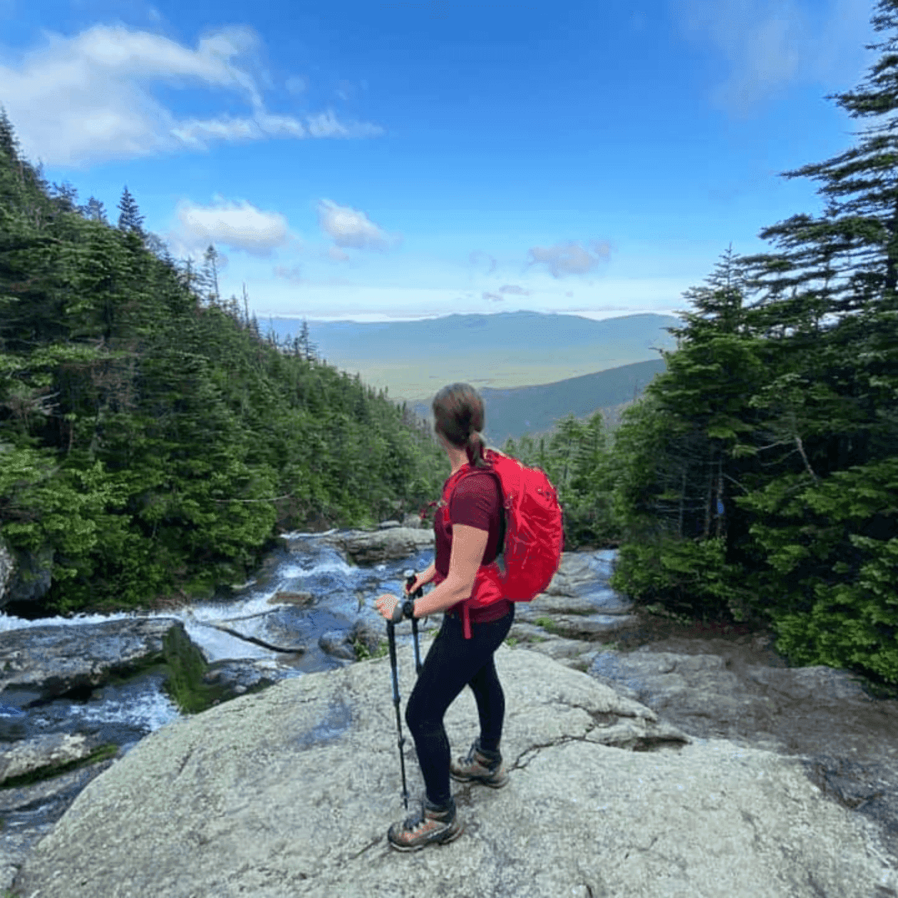 Hiker with red backpack and trekking poles stands on a rock overlooking a stream and forest.
