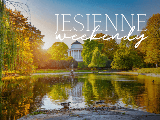 Jesienny park z stawem, fontanną i kolorowymi drzewami w słoneczny dzień podczas jesiennych weekendów