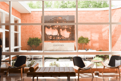 tree artwork through a window