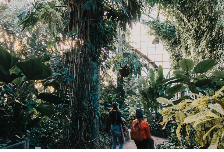 Visit one of Canada’s largest botanical gardens at the Muttart Conservatory
