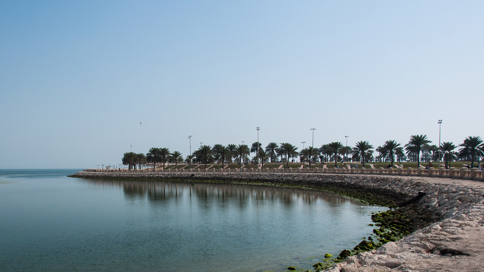 Al Khobar corniche scene with palm trees lining a calm, reflective lagoon near Warwick Hotels and Resorts