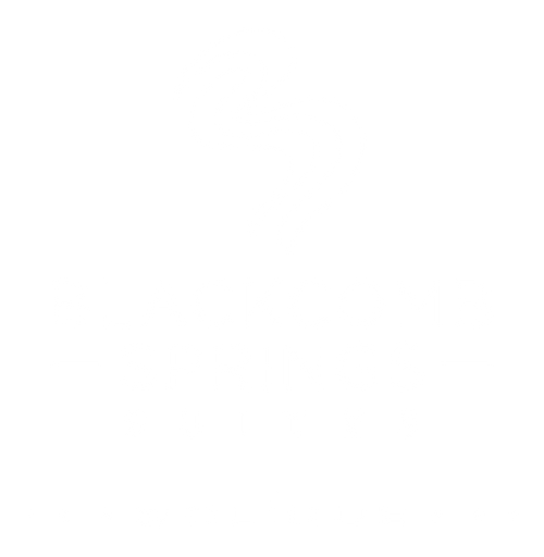 logo of blackcomb springs suites
