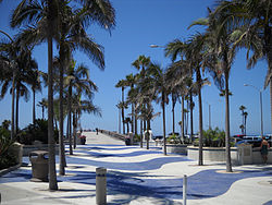 sidewalk lined with palm trees