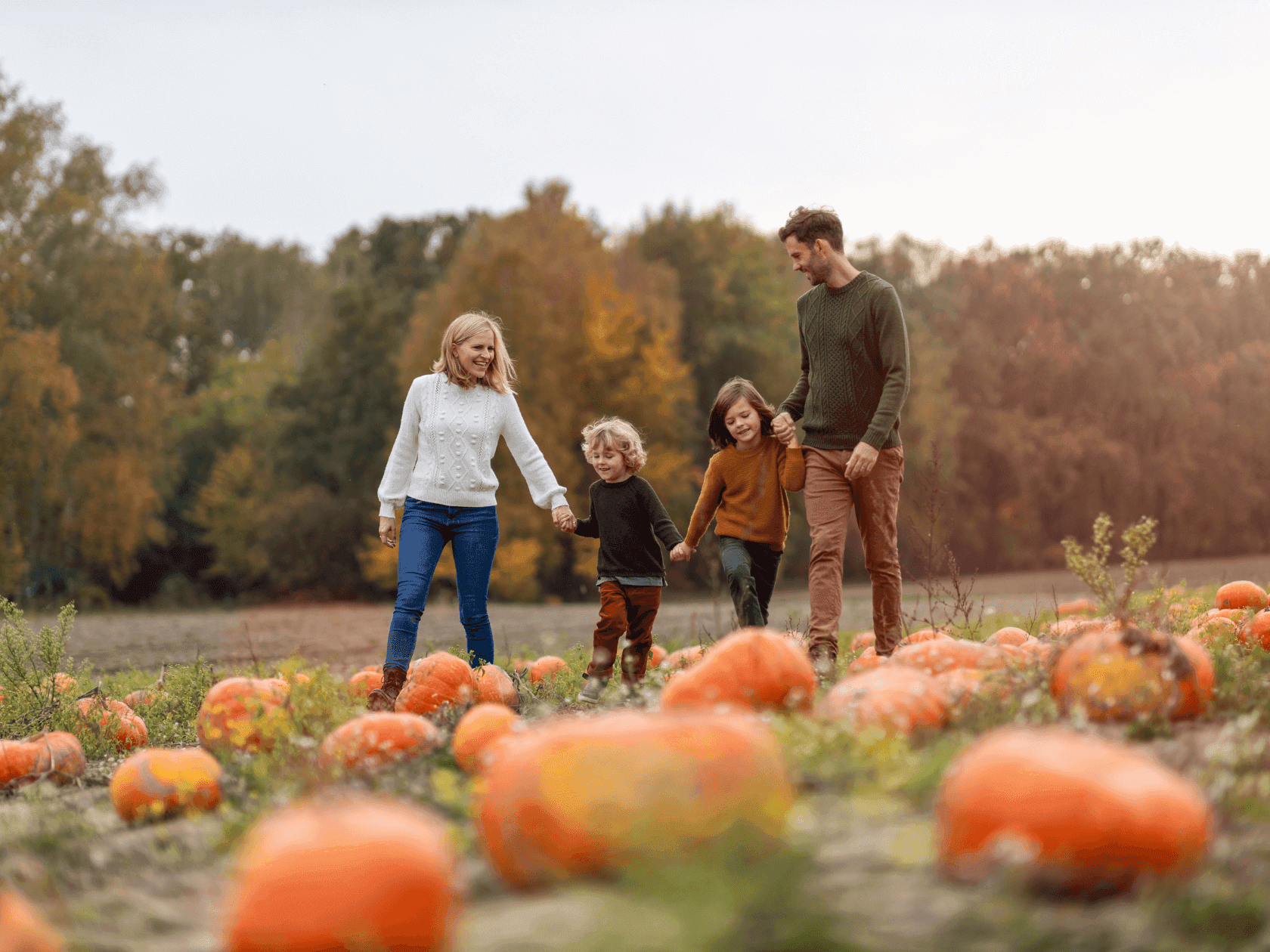 Family of four holding hands, walking through a pumpkin patch with autumn trees in the background.