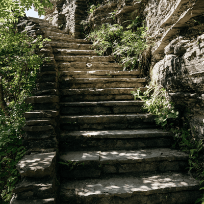 Natural stone staircase built into a rocky cliffside with lush green ferns around near La Tourelle Hotel and Spa