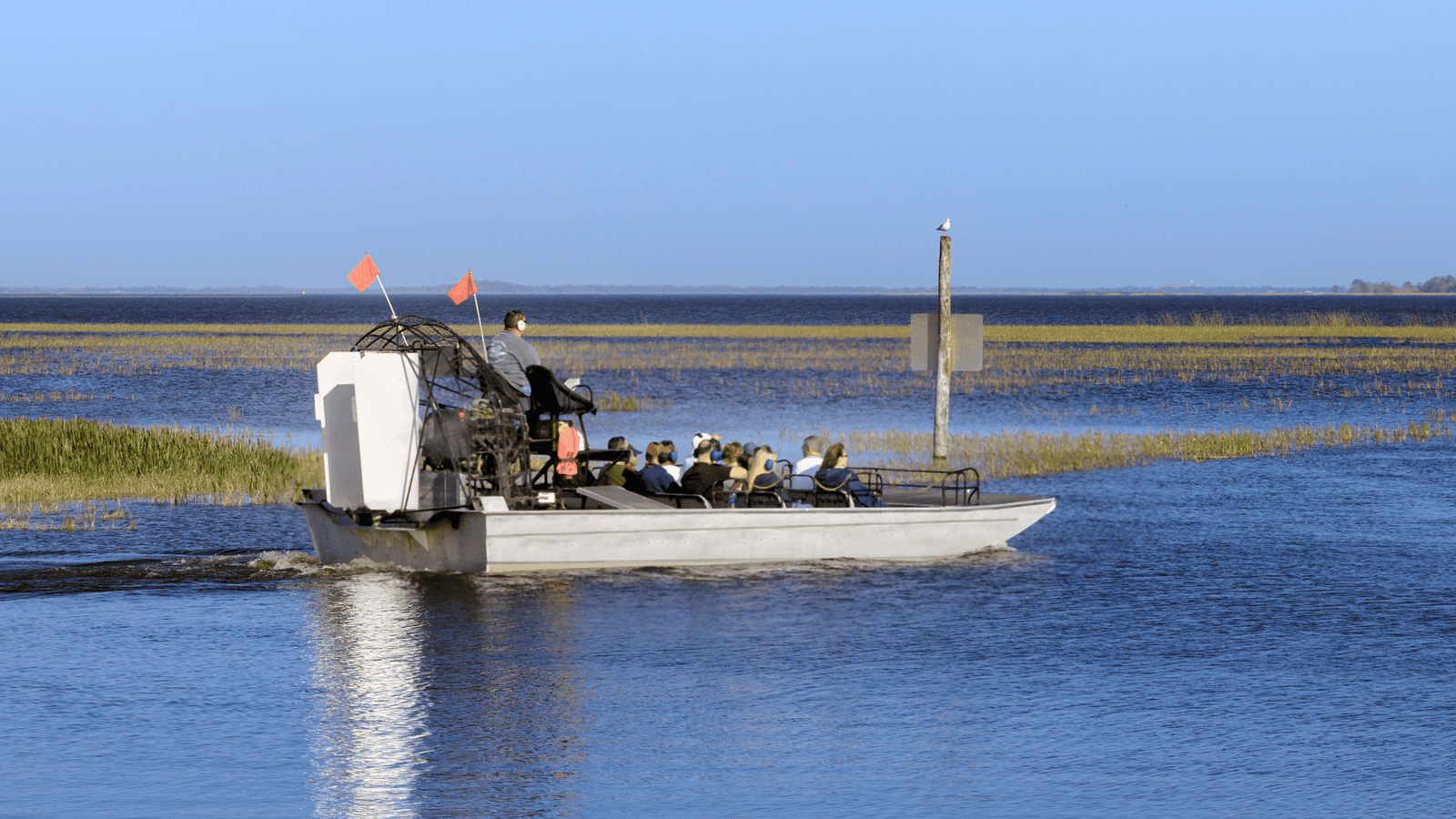 Airboat rides in Kissimmee