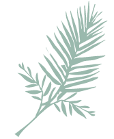 White wallpaper with leaf patterns at Marbella Club Wellness