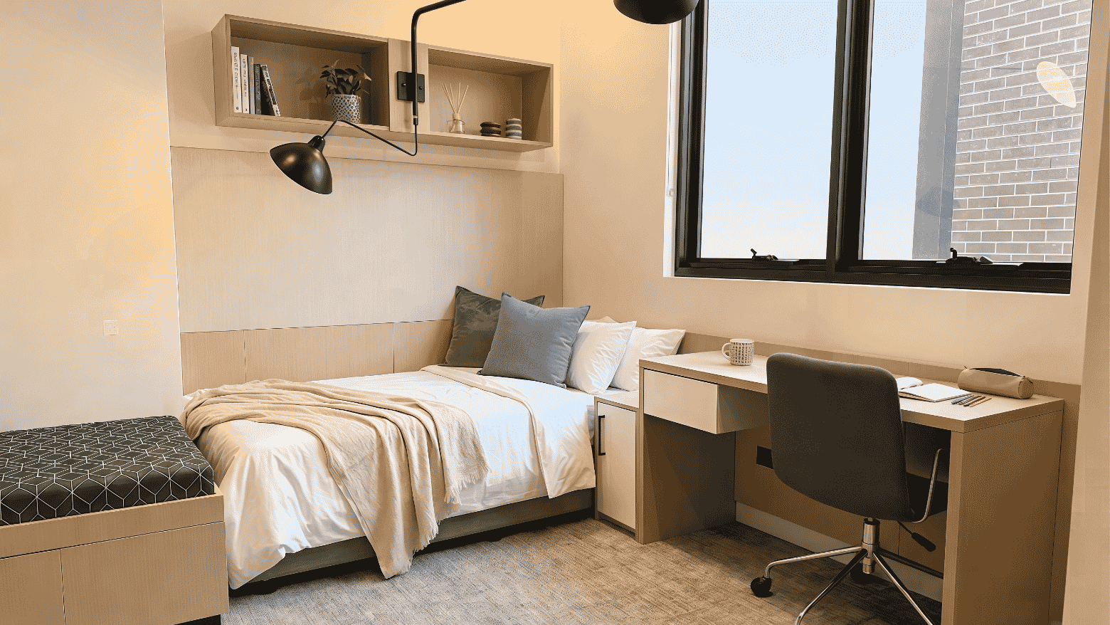 Studio Single Plus 
