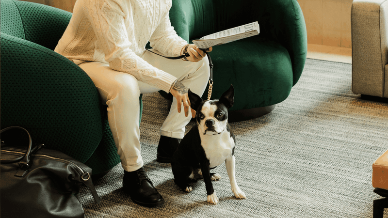 Man with his pet dog on the comfy sofa in the lobby area at Warwick Le Crystal