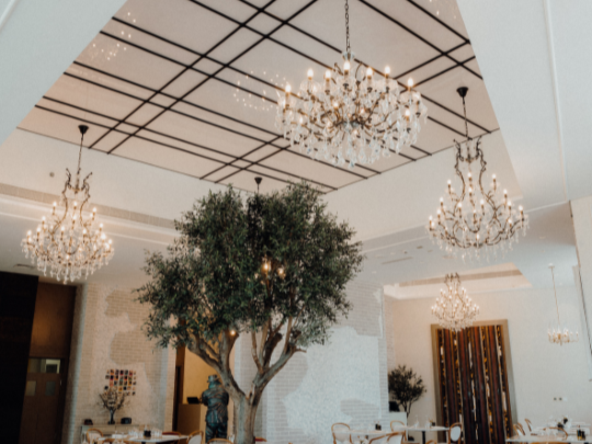 Dining room with a tree and chandeliers in Paparazzi Tuscan Restaurant at Paramount Hotel Midtown