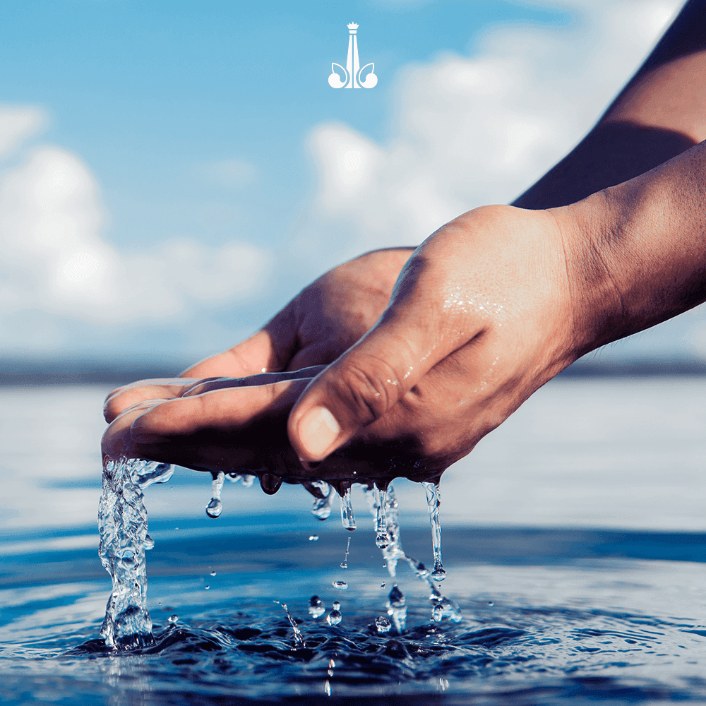 Hands cupping fresh, clear water, symbolizing purity at Marquis Los Cabos Resort