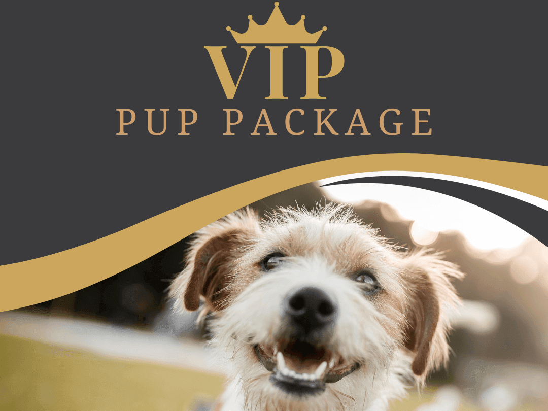 VIP Pet Package