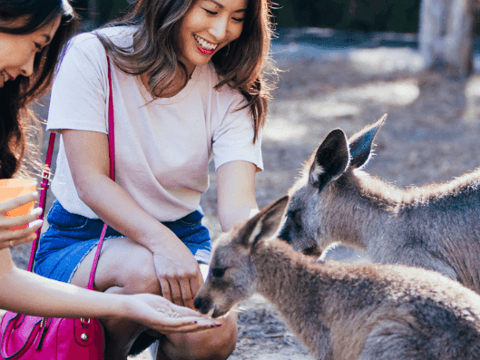 Things to do on the Gold Coast