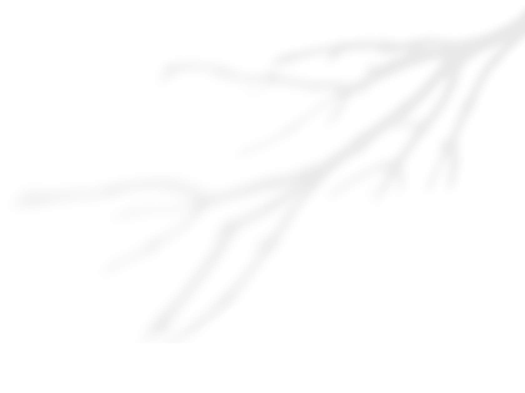 decorative tree branch