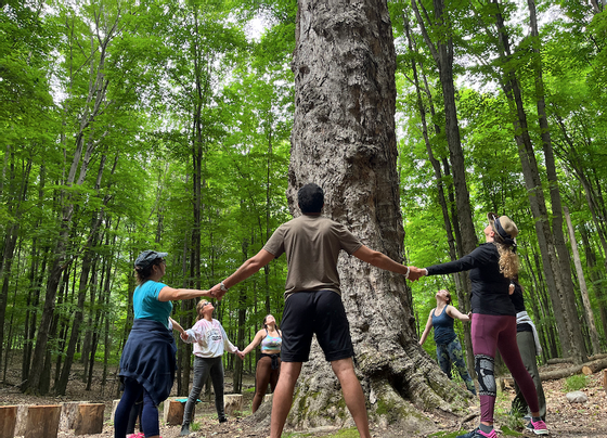 People in Healing Chakra Retreat near Honor's Haven Retreat