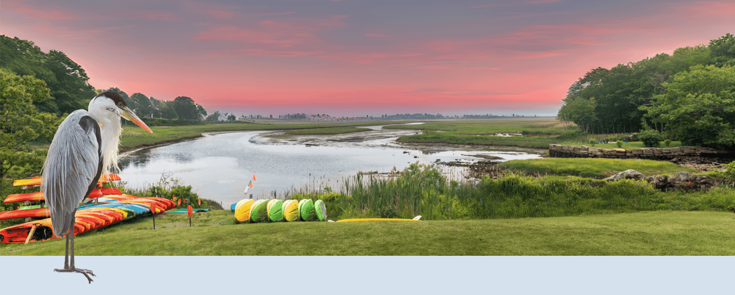 a wide view of a river with kayaks and a heron in the foreground at sunset