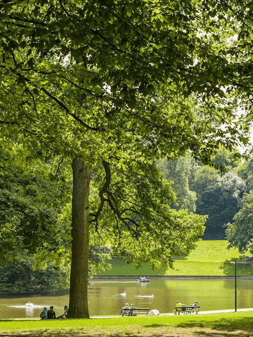 Lush green trees and a peaceful serene lake in a public park with relaxed people near Hotel Barsey by Warwick