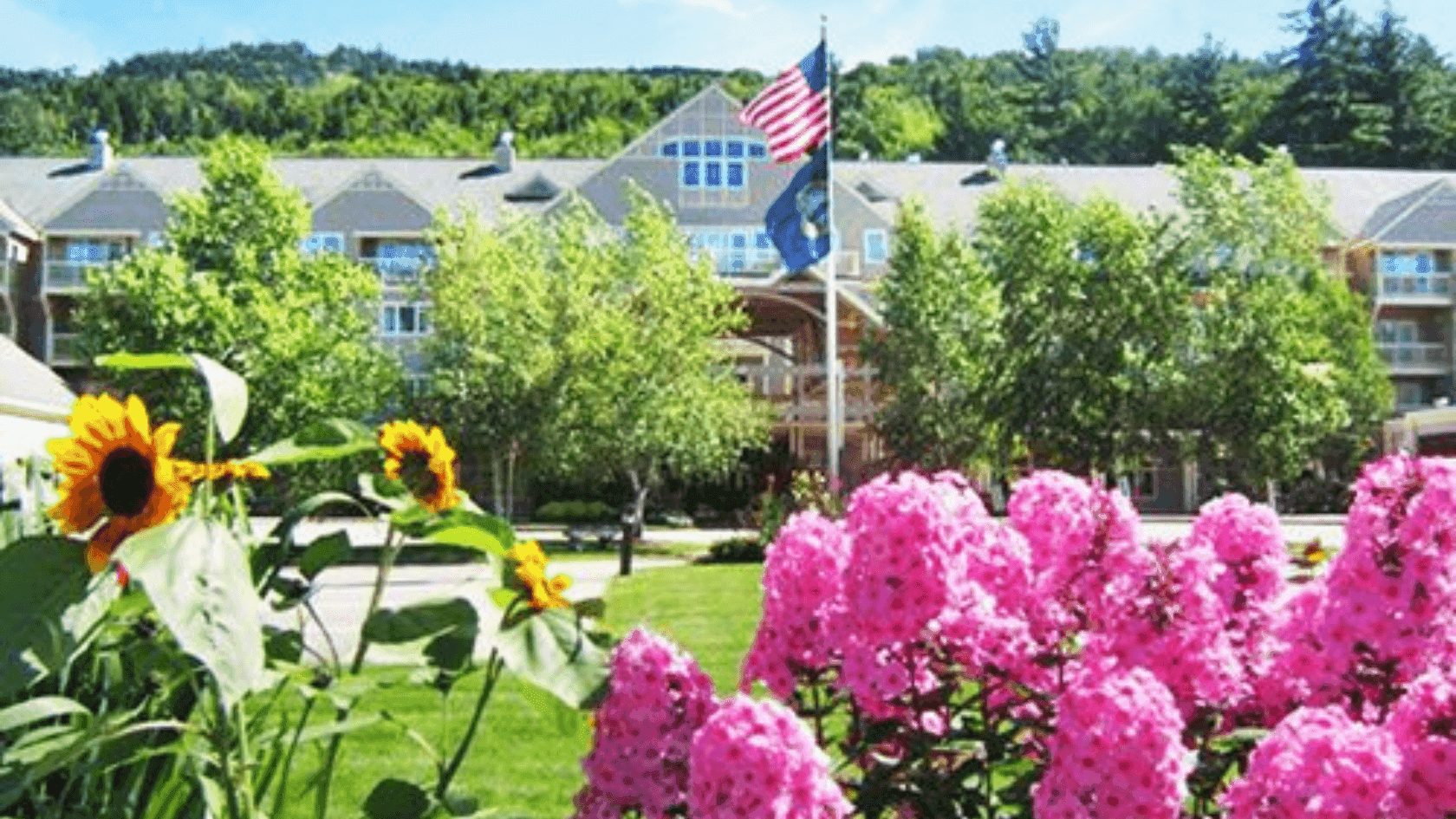 Pink flowers and sunflowers in front of a large building with American and state flags.
