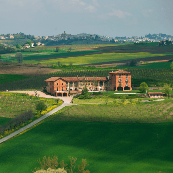 Tenuta Montemagno