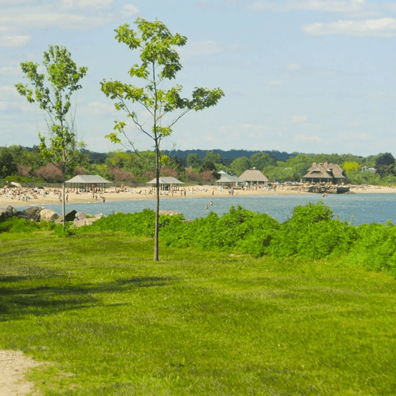 Greenwich Point Beach