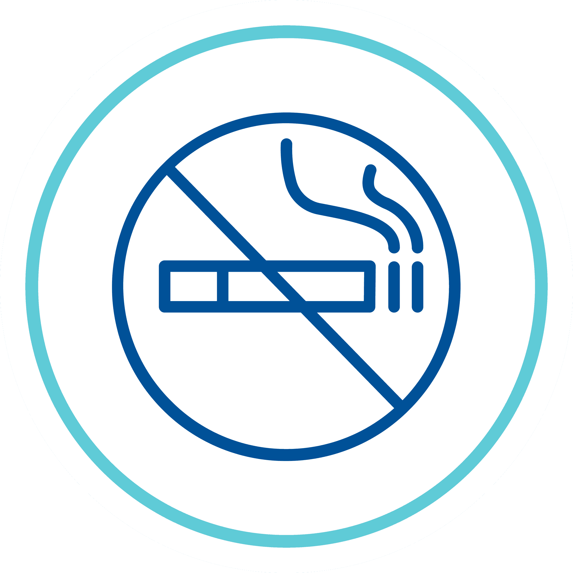 Smoke Free