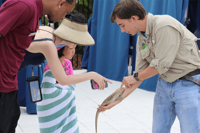 Young girl takes a photo of a small bearded dragon being held by a guide at an outdoor demo at The Grove Resort & Water Park