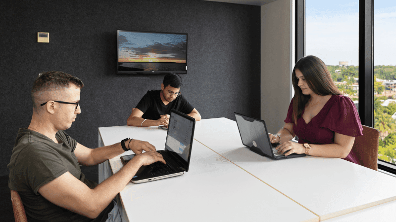 Three people working on laptops in a modern office setting with large windows.