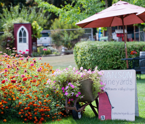 Hanson Vineyards tasting room