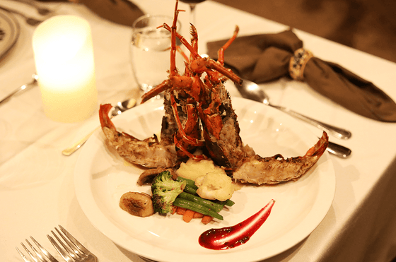 Close-up of a lobster dish served in a restaurant at Isla Chiquita Glamping Hotel