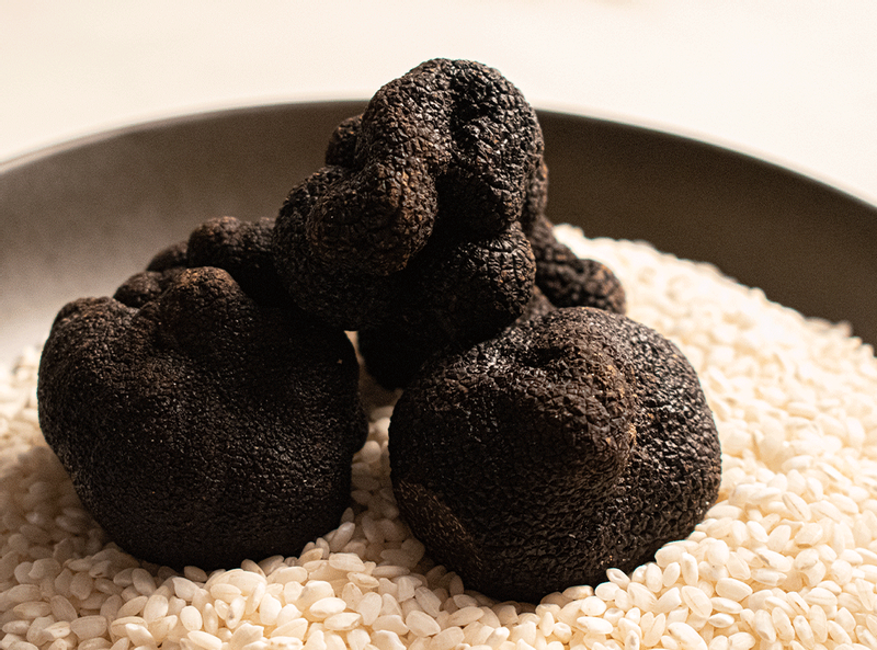 Three truffles on a plate of rice