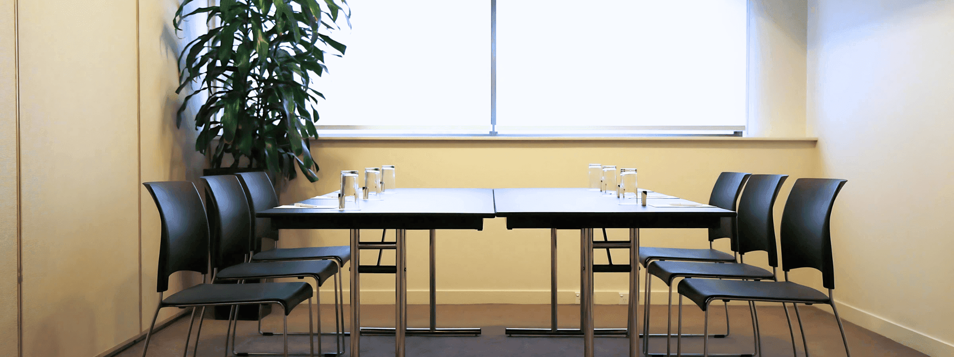 Table setup with black chairs, and a large plant in Kurrajong at Novotel Sydney International Airport