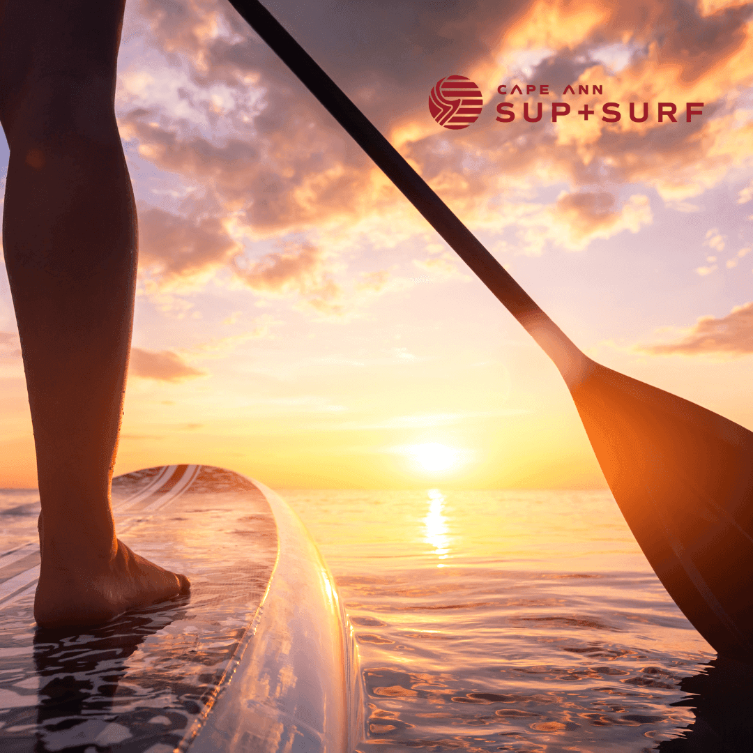 Paddle boarding near Beauport Hotel Gloucester