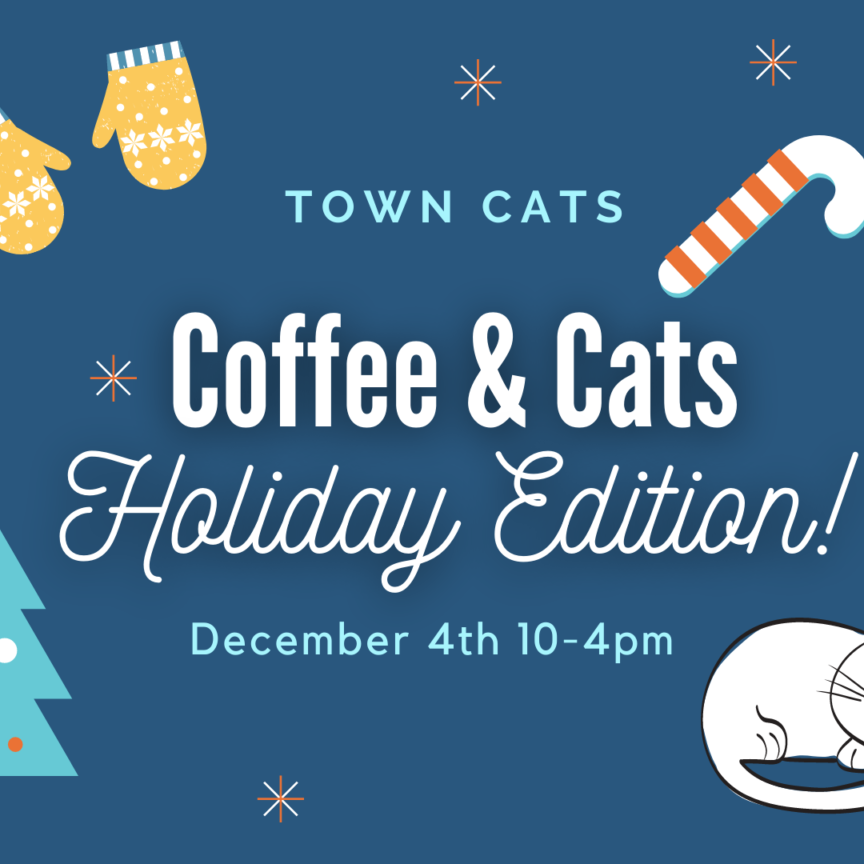 Promotional Image for Coffee & Cats showing various Christmas items on a blue background. Gloves, tree, hat, etc.