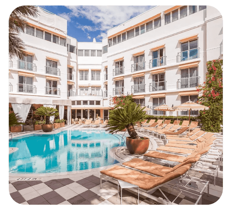 A hotel pool area with lounge chairs and a palm tree