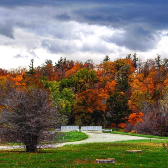 fall season - monte carlo inn vaughan
